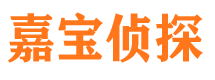 新田侦探